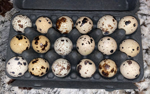 Fresh Quail Eggs