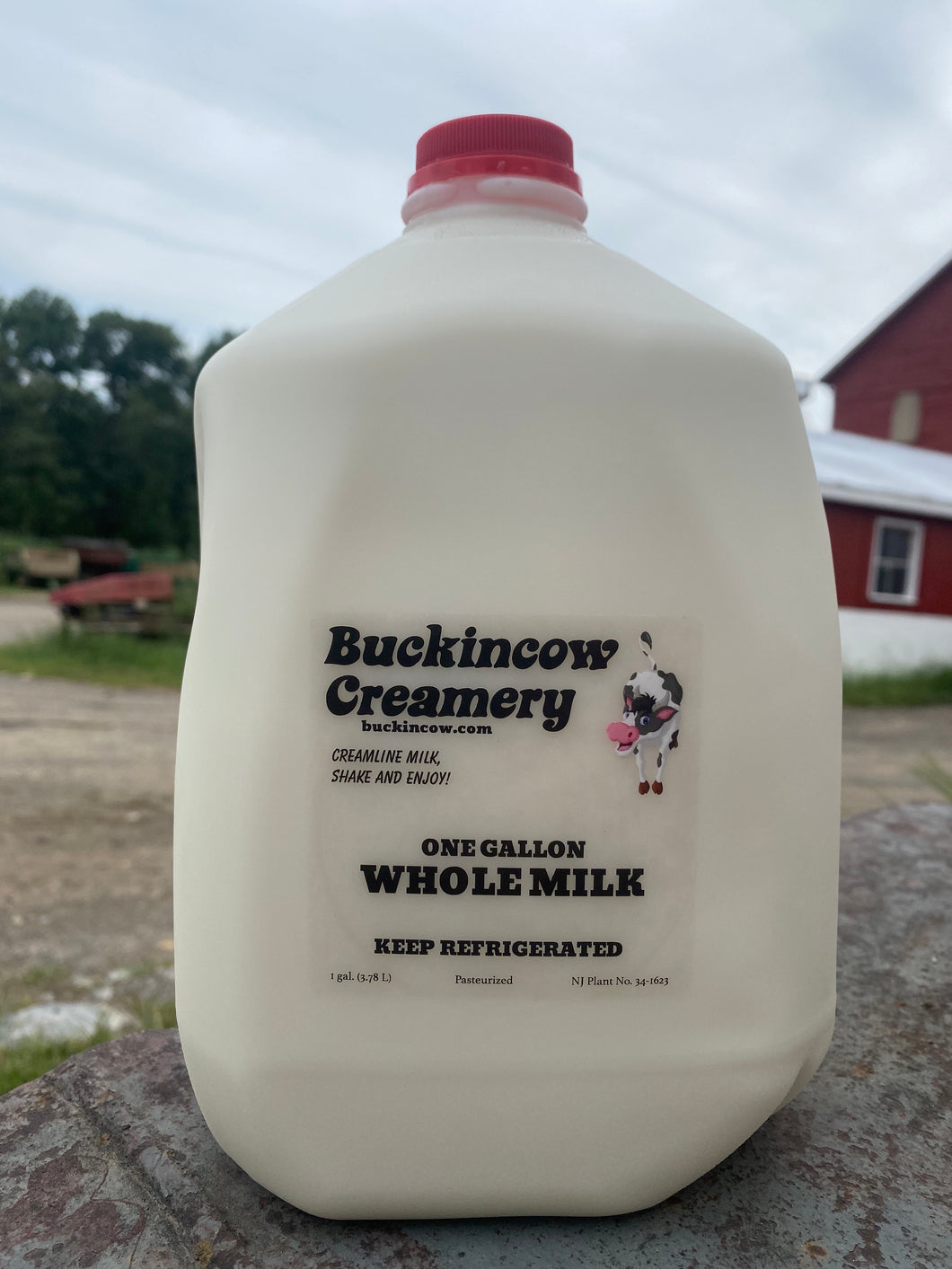 One gallon whole creamline milk